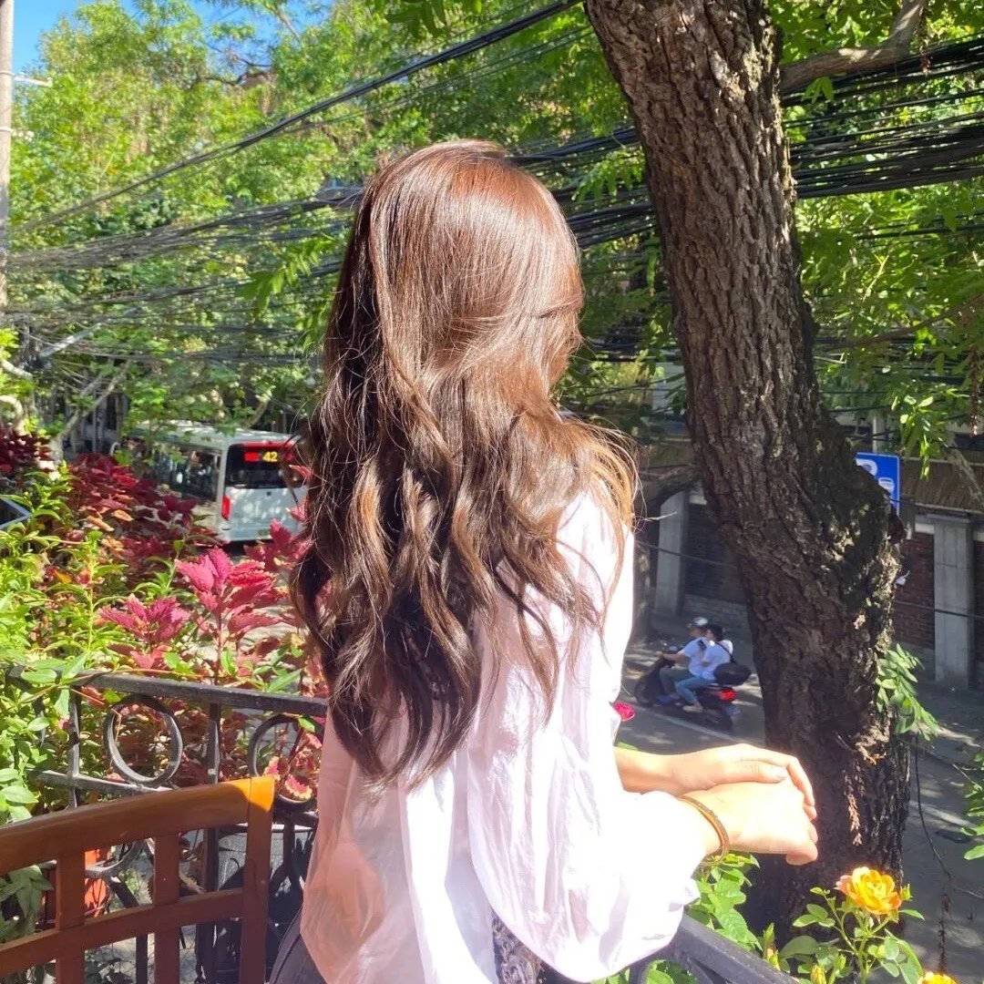 白马之子